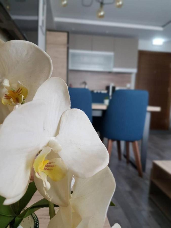 Apartman Premier 32 Milmari Kopaonik Esterno foto